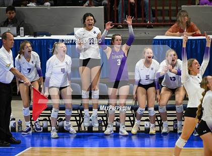 Thumbnail 3 in Thompson Valley vs. Lutheran (CHSAA 4A State Final) photogallery.