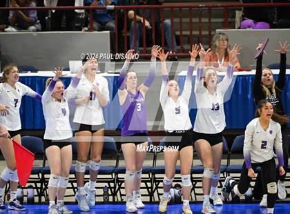 Thumbnail 1 in Thompson Valley vs. Lutheran (CHSAA 4A State Final) photogallery.