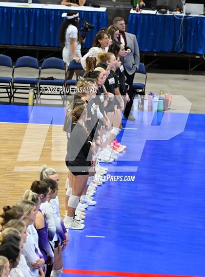 Thumbnail 3 in Thompson Valley vs. Lutheran (CHSAA 4A State Final) photogallery.