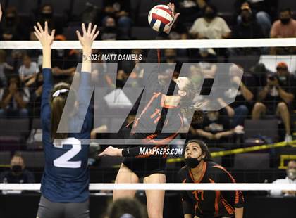 Thumbnail 3 in University @ Lamar (CHSAA 3A Playoff) photogallery.