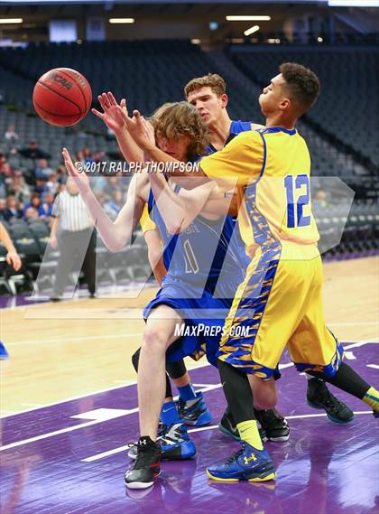 Thumbnail 1 in Linden @ Amador (@ Golden 1 Center) photogallery.