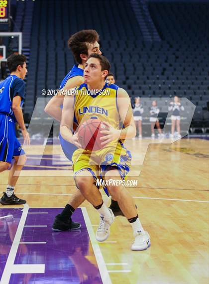 Thumbnail 3 in Linden @ Amador (@ Golden 1 Center) photogallery.