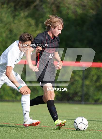 Thumbnail 3 in Nichols @ Clarence photogallery.