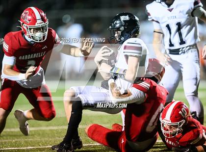 Thumbnail 3 in Dover @ Dardanelle photogallery.