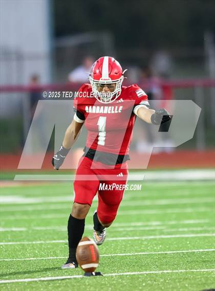 Thumbnail 3 in Dover @ Dardanelle photogallery.