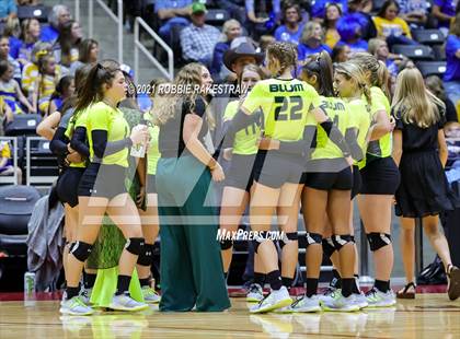 Thumbnail 3 in Veribest vs. Blum (UIL Volleyball 1A Semifinals) photogallery.