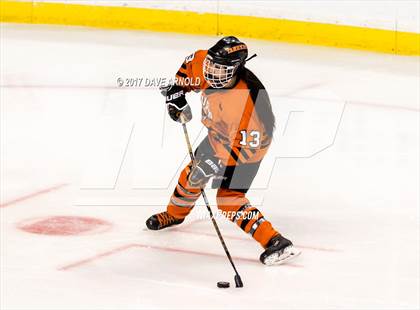 Thumbnail 1 in Needham vs. Woburn Memorial (MIAA Division 1 Final) photogallery.