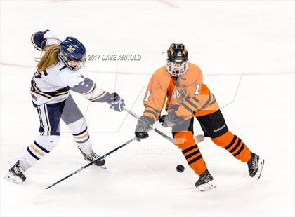 Thumbnail 3 in Needham vs. Woburn Memorial (MIAA Division 1 Final) photogallery.