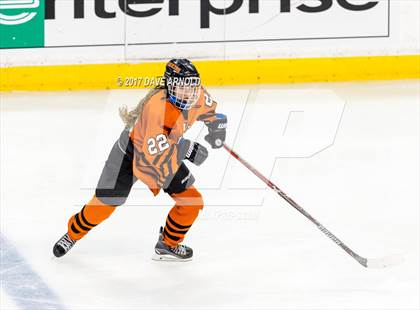 Thumbnail 2 in Needham vs. Woburn Memorial (MIAA Division 1 Final) photogallery.