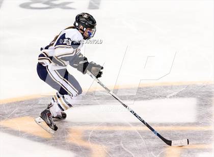 Thumbnail 1 in Needham vs. Woburn Memorial (MIAA Division 1 Final) photogallery.