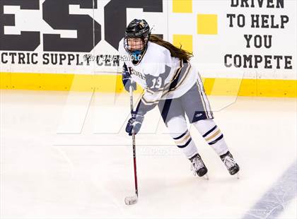 Thumbnail 1 in Needham vs. Woburn Memorial (MIAA Division 1 Final) photogallery.