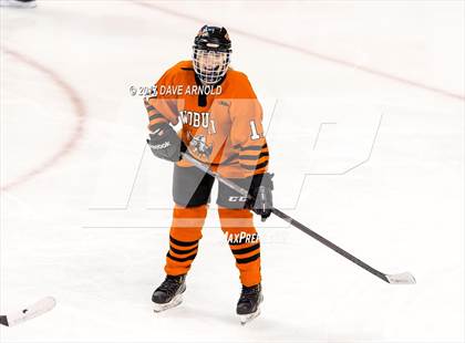 Thumbnail 3 in Needham vs. Woburn Memorial (MIAA Division 1 Final) photogallery.