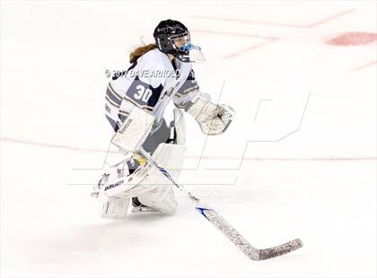 Thumbnail 2 in Needham vs. Woburn Memorial (MIAA Division 1 Final) photogallery.