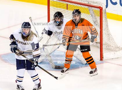 Thumbnail 1 in Needham vs. Woburn Memorial (MIAA Division 1 Final) photogallery.