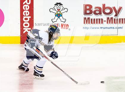 Thumbnail 1 in Needham vs. Woburn Memorial (MIAA Division 1 Final) photogallery.