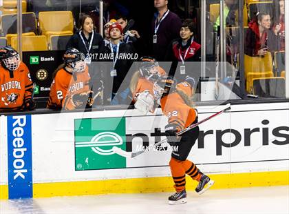 Thumbnail 2 in Needham vs. Woburn Memorial (MIAA Division 1 Final) photogallery.