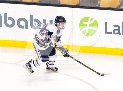 Thumbnail 1 in Needham vs. Woburn Memorial (MIAA Division 1 Final) photogallery.