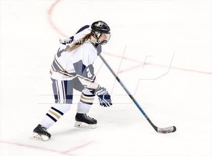 Thumbnail 1 in Needham vs. Woburn Memorial (MIAA Division 1 Final) photogallery.