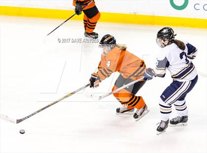 Thumbnail 1 in Needham vs. Woburn Memorial (MIAA Division 1 Final) photogallery.