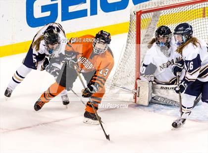 Thumbnail 1 in Needham vs. Woburn Memorial (MIAA Division 1 Final) photogallery.