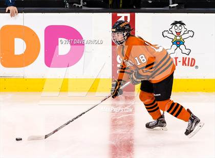 Thumbnail 3 in Needham vs. Woburn Memorial (MIAA Division 1 Final) photogallery.