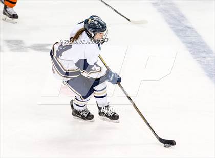Thumbnail 3 in Needham vs. Woburn Memorial (MIAA Division 1 Final) photogallery.