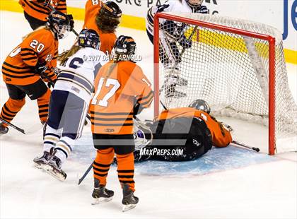 Thumbnail 3 in Needham vs. Woburn Memorial (MIAA Division 1 Final) photogallery.