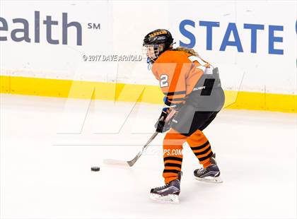 Thumbnail 3 in Needham vs. Woburn Memorial (MIAA Division 1 Final) photogallery.