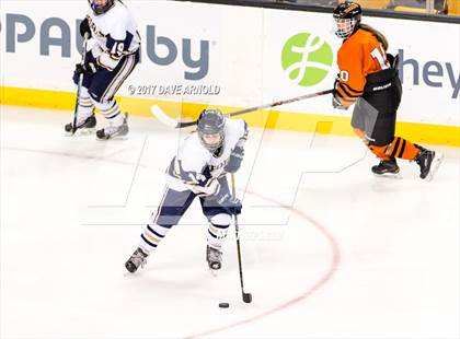 Thumbnail 1 in Needham vs. Woburn Memorial (MIAA Division 1 Final) photogallery.
