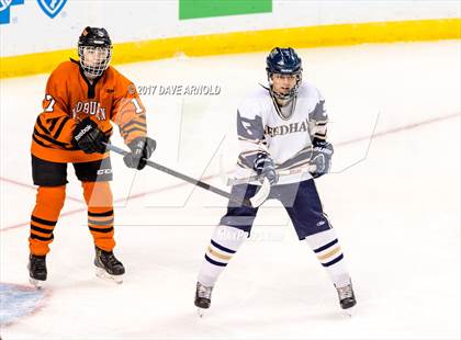 Thumbnail 1 in Needham vs. Woburn Memorial (MIAA Division 1 Final) photogallery.