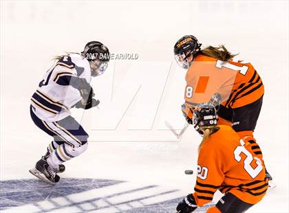 Thumbnail 1 in Needham vs. Woburn Memorial (MIAA Division 1 Final) photogallery.