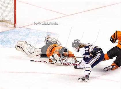Thumbnail 2 in Needham vs. Woburn Memorial (MIAA Division 1 Final) photogallery.