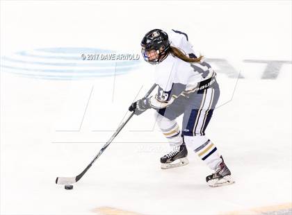 Thumbnail 1 in Needham vs. Woburn Memorial (MIAA Division 1 Final) photogallery.