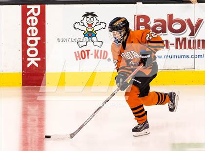 Thumbnail 2 in Needham vs. Woburn Memorial (MIAA Division 1 Final) photogallery.