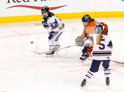Thumbnail 3 in Needham vs. Woburn Memorial (MIAA Division 1 Final) photogallery.