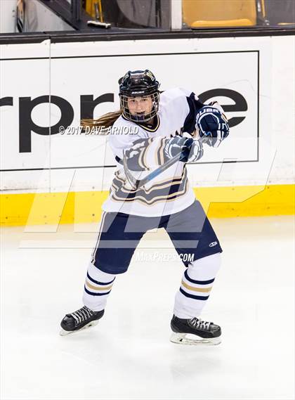 Thumbnail 3 in Needham vs. Woburn Memorial (MIAA Division 1 Final) photogallery.