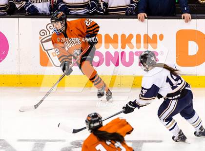 Thumbnail 1 in Needham vs. Woburn Memorial (MIAA Division 1 Final) photogallery.