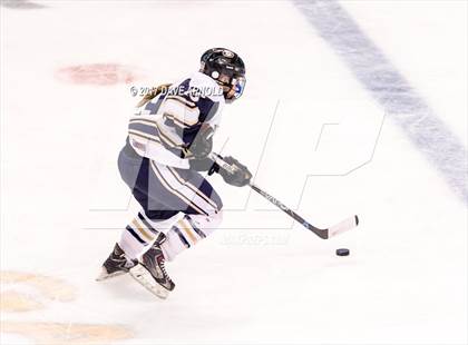 Thumbnail 3 in Needham vs. Woburn Memorial (MIAA Division 1 Final) photogallery.