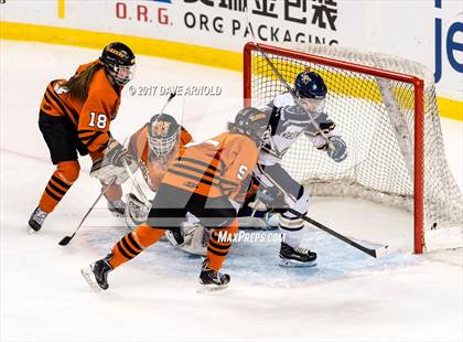 Thumbnail 1 in Needham vs. Woburn Memorial (MIAA Division 1 Final) photogallery.