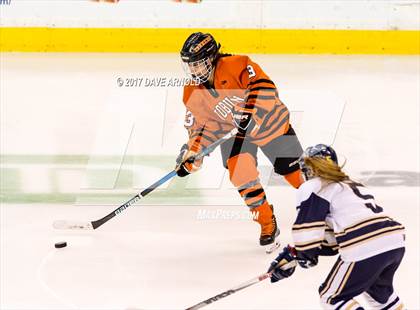 Thumbnail 1 in Needham vs. Woburn Memorial (MIAA Division 1 Final) photogallery.