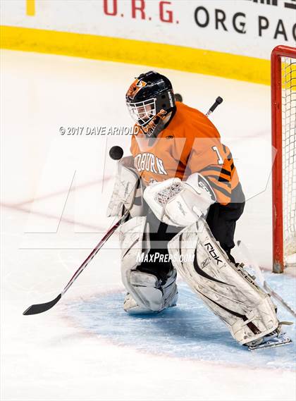Thumbnail 1 in Needham vs. Woburn Memorial (MIAA Division 1 Final) photogallery.