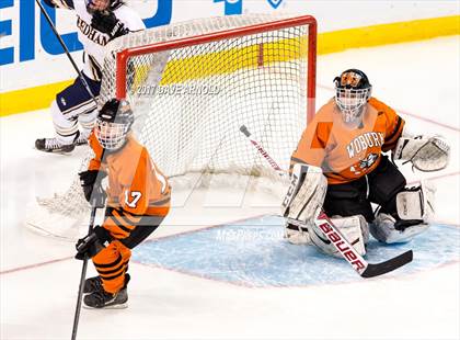 Thumbnail 2 in Needham vs. Woburn Memorial (MIAA Division 1 Final) photogallery.