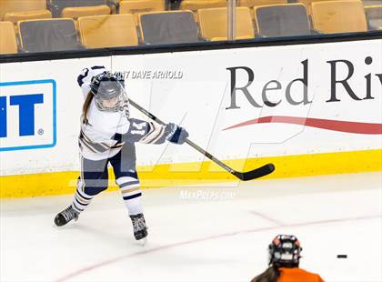 Thumbnail 1 in Needham vs. Woburn Memorial (MIAA Division 1 Final) photogallery.