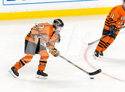 Thumbnail 1 in Needham vs. Woburn Memorial (MIAA Division 1 Final) photogallery.