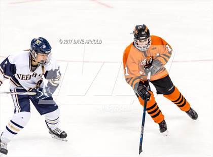 Thumbnail 3 in Needham vs. Woburn Memorial (MIAA Division 1 Final) photogallery.