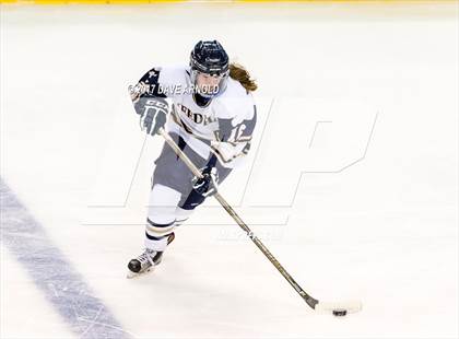 Thumbnail 1 in Needham vs. Woburn Memorial (MIAA Division 1 Final) photogallery.