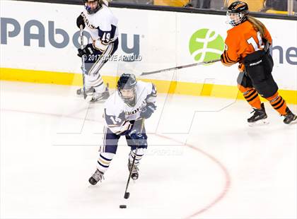 Thumbnail 3 in Needham vs. Woburn Memorial (MIAA Division 1 Final) photogallery.