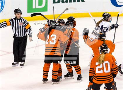 Thumbnail 2 in Needham vs. Woburn Memorial (MIAA Division 1 Final) photogallery.
