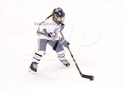 Thumbnail 1 in Needham vs. Woburn Memorial (MIAA Division 1 Final) photogallery.