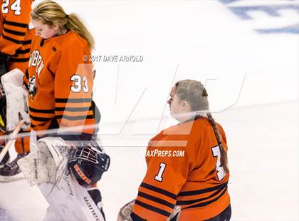 Thumbnail 1 in Needham vs. Woburn Memorial (MIAA Division 1 Final) photogallery.